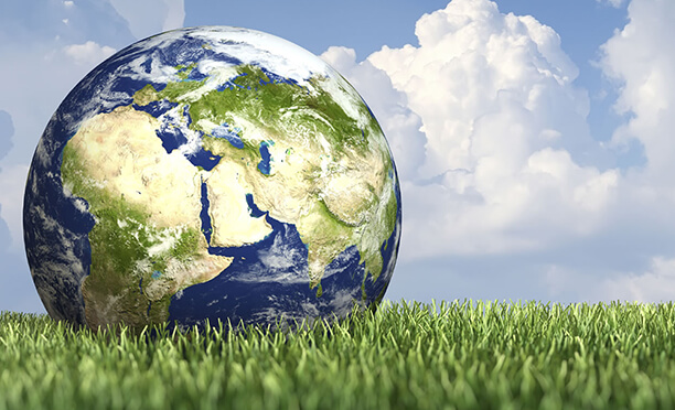 Internation Website Development - Website Design & Development Halifax