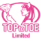 logo-t2t Top to Toe Limited - Website Design & Development Halifax